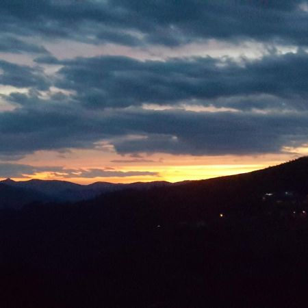 Chalet Por Do Sol Castro Daire Eksteriør bilde