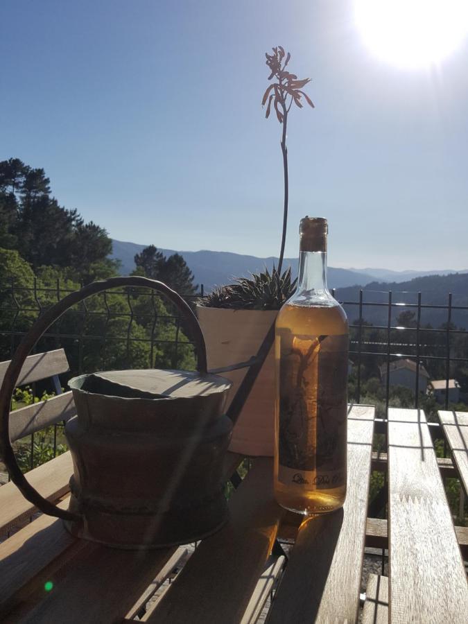 Chalet Por Do Sol Castro Daire Eksteriør bilde